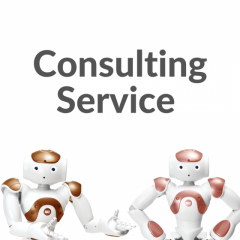 NAO Robot Consulting Service