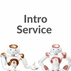 NAO Robot Introduction Service