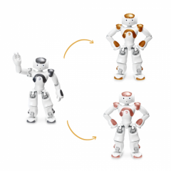 NAO V6 to V6 AI Edition - Trade-In