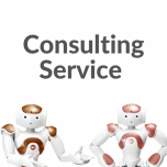 NAO Robot Consulting Service