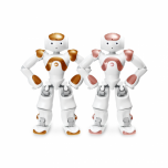 NAO V6 to V6 AI Edition - Trade-In