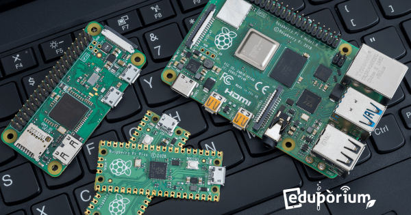 Raspberry Pi: A Bite-Sized Taste of Technology