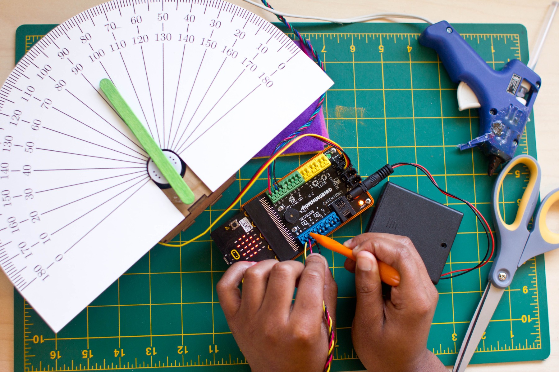 birdbrain hummingbird