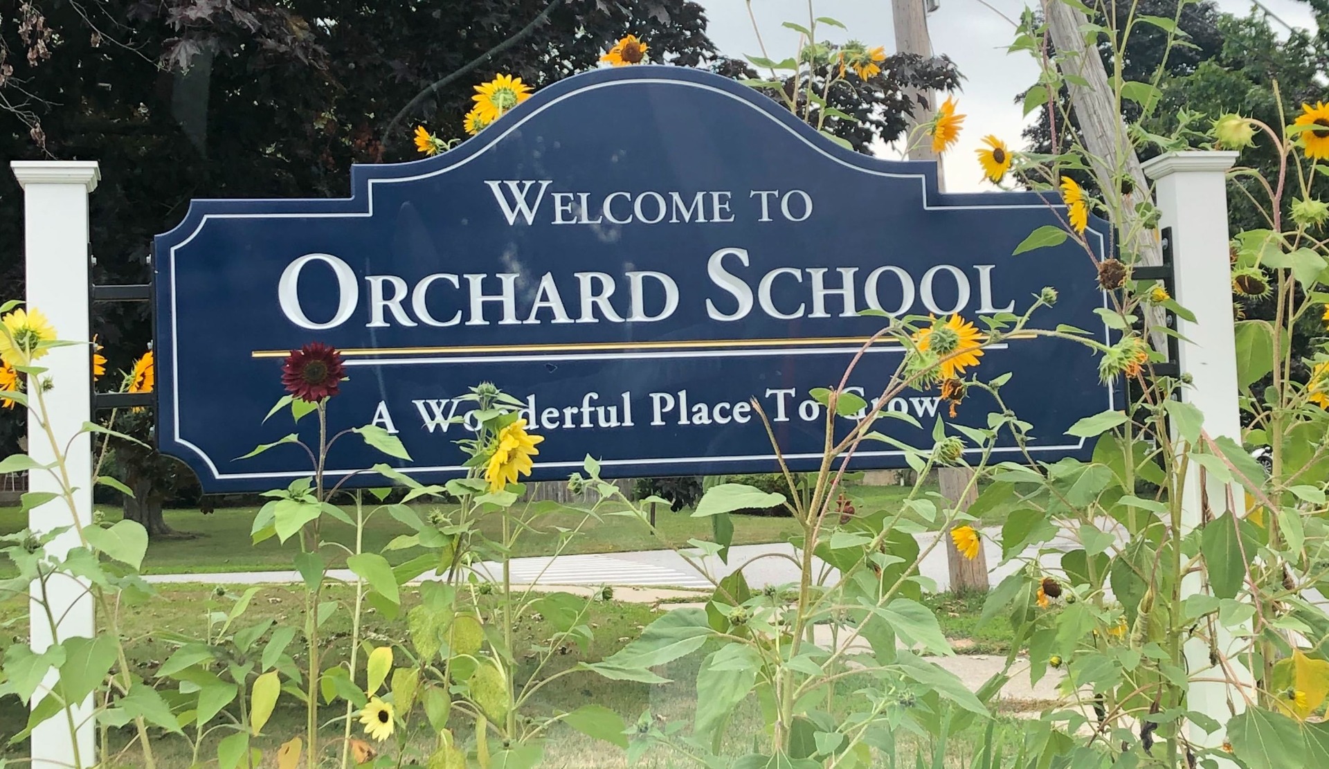 MERGE Cube Donation at the Orchard School in South Burlington, VT