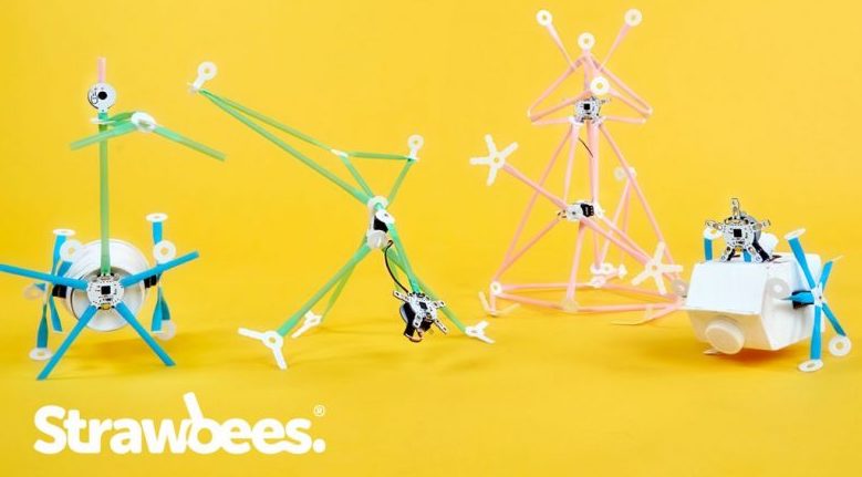 projects made with the strawbees steam and engineering kits