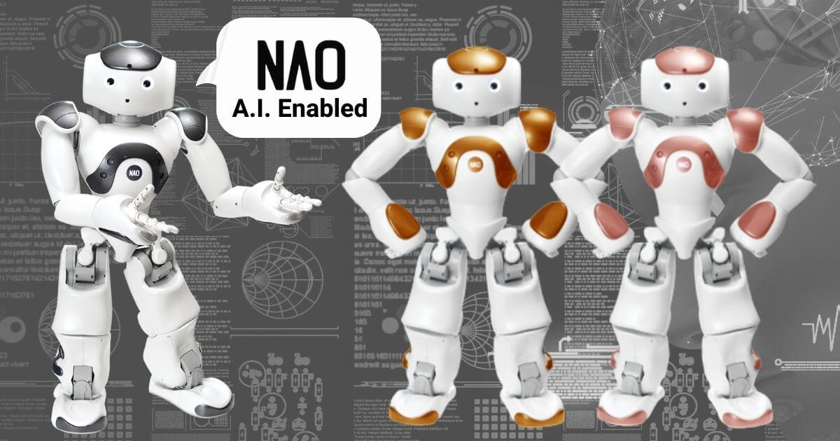 Programmable Humanoïd Robot NAO V6