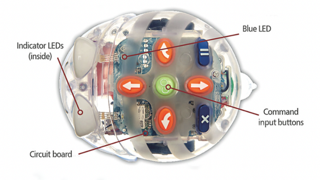 the directional buttons from an overhead view of the blue-bot