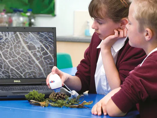 students examining the environment with a Terrapin Easi-Scope Microscope